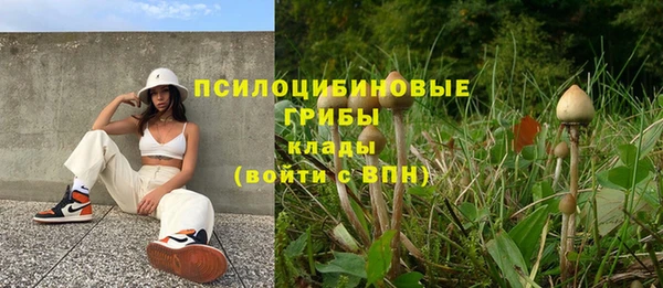 ПСИЛОЦИБИНОВЫЕ ГРИБЫ Алексеевка