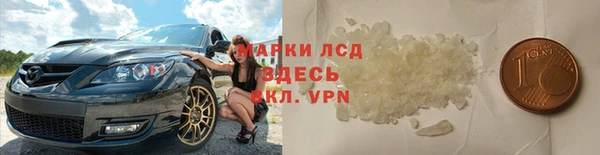 apvp Алзамай