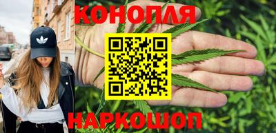 крисы Гусев
