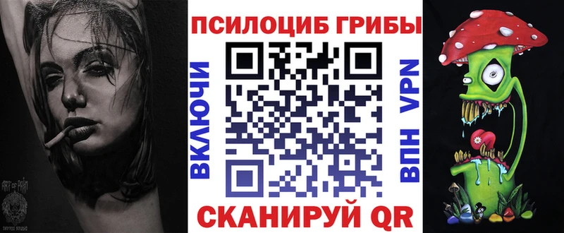 Псилоцибиновые грибы Psilocybe  Нижний Новгород 